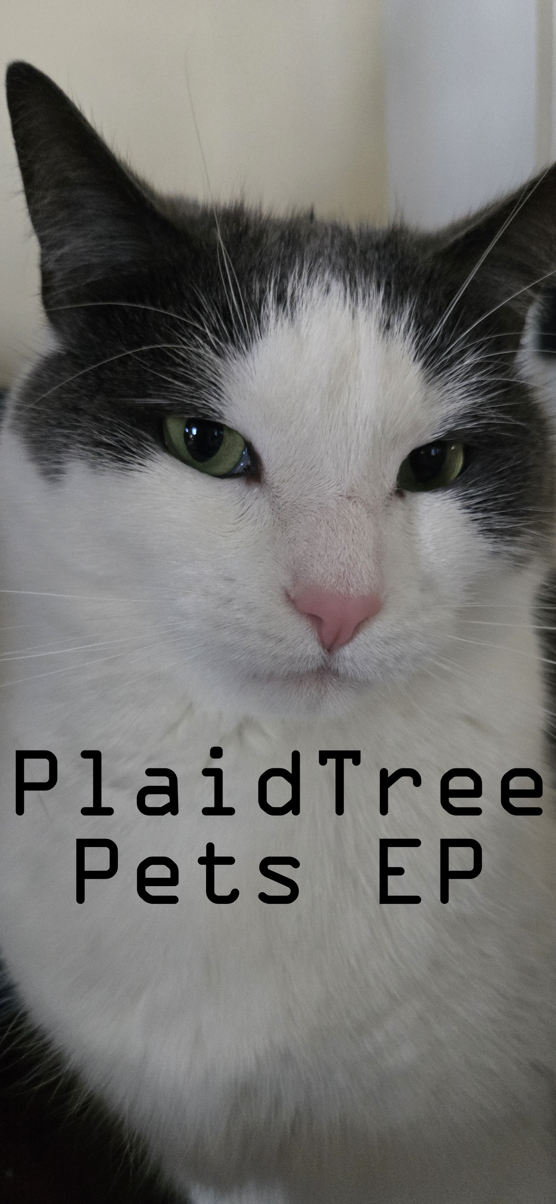 Pets EP Coverart